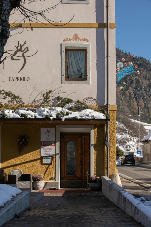 Al Capriolo Hotel Vodo Cadore